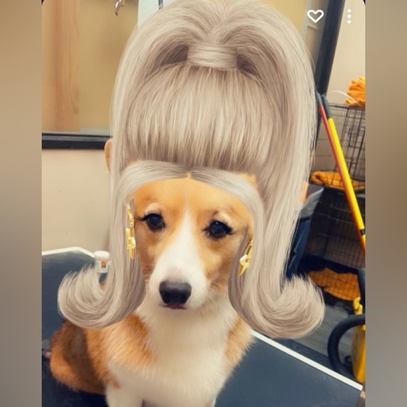 Meet your Posher - Picture 4 of 14